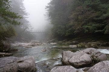 Mist in de bossen van Yakushima van Anges van der Logt