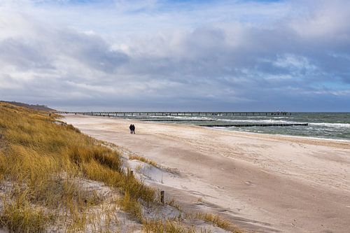 Beach on the Baltic Sea coast in Graal Müritz