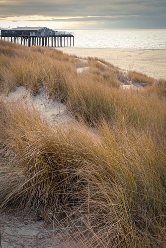 Verlassenes Strandhaus