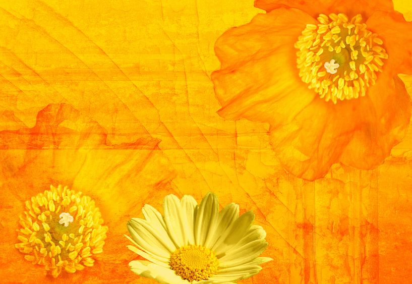 Leuchtend Orange von Martina Fornal