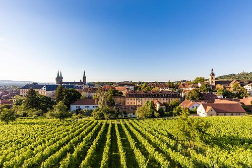 Domberg avec la cathédrale impériale de Bamberg sur Werner Dieterich