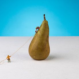 Get healthy and climb a pear by LUNA Fotografie