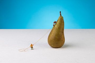 Get healthy and climb a pear by LUNA Fotografie