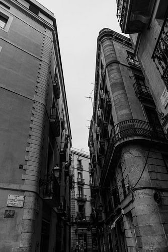 Barcelona Black and White