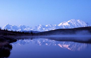 Alaska, Mount Denali, National Park van Paul van Gaalen, natuurfotograaf