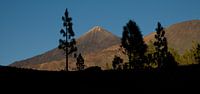 Vulkanisch landschap El Teide