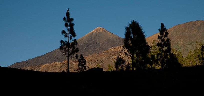 Vulkanisch landschap El Teide van Hannie Bom