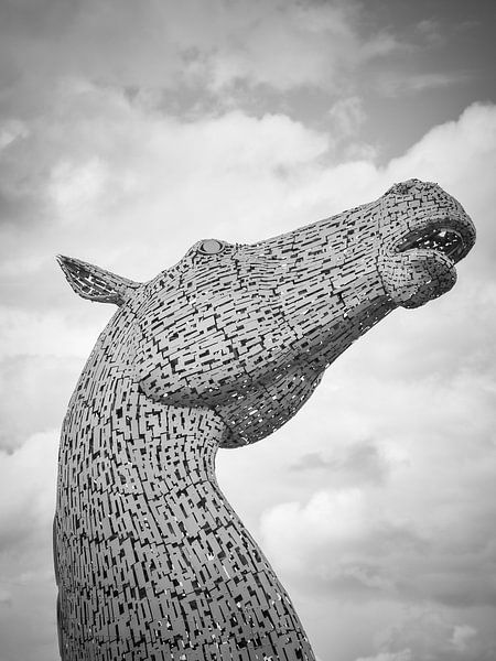 Kelpie von Bianca  Hinnen