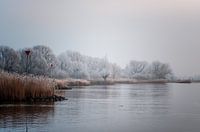 Uiterwaarden IJssel met zicht op het kerkje van Wilsum