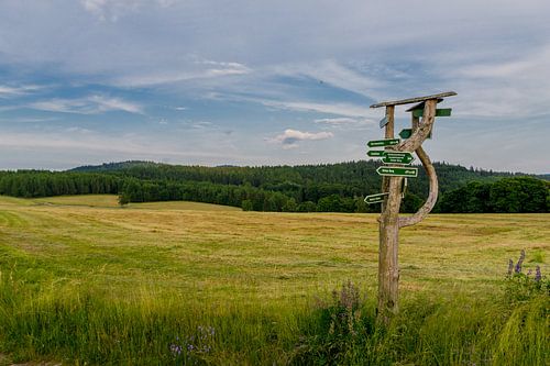 Prachtig landschap in het Thüringer Woud