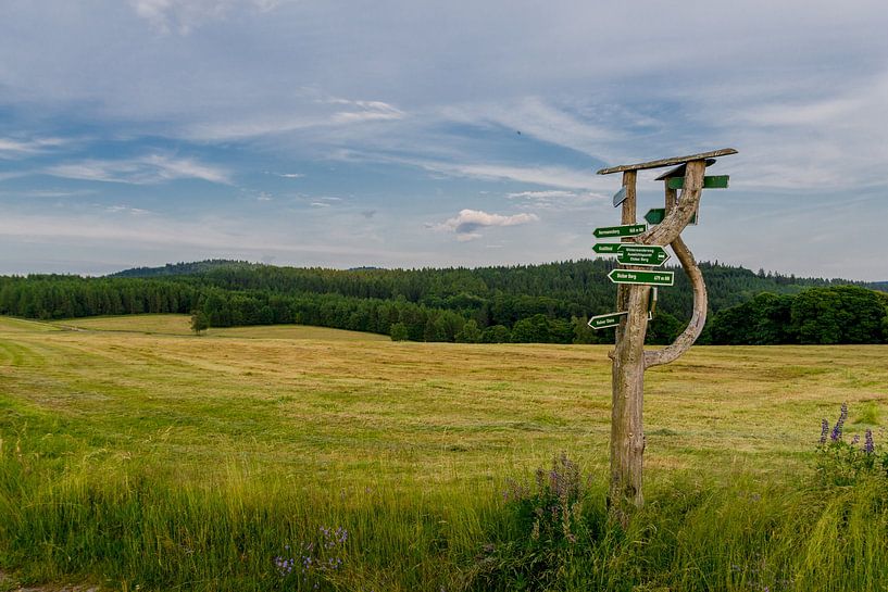 Wunderschöne Landschaft am Thüringer Wald von Oliver Hlavaty