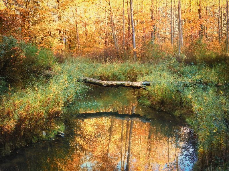 Ruhe im Gavers 4 von Maickel Dedeken
