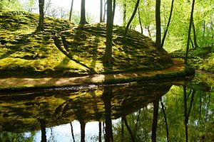 Landgoed Elswout by Michel van Kooten