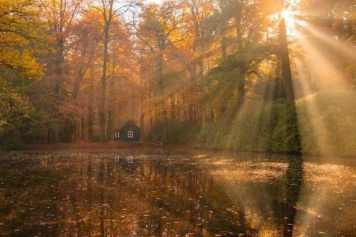 Het Forellenvijverhuisje in paleispark kroondomeinen het loo te Apeldoorn