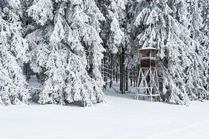 Landschaft im Winter im Thüringer Wald in der Nähe von Schmied
