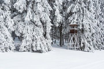 Landschap in de winter in het Thüringer Woud bij Schmied van Rico Ködder