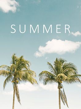 Sommer palmen