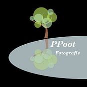 Pieter Poot Profilfoto