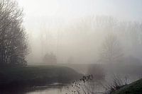 Foggy morning along the river.