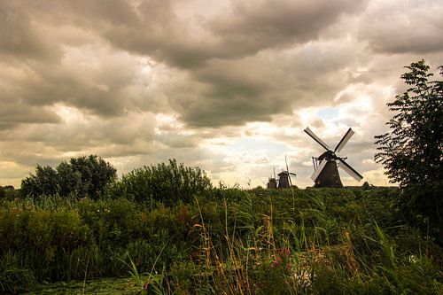 Windmühlen in Kinderdijk