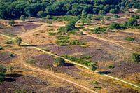 De Hoorneboegse Heide vanuit de lucht [02]