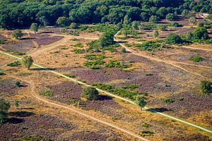 Die Hoorneboeg-Heide aus der Luft [02]