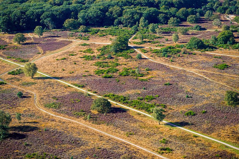De Hoorneboegse Heide vanuit de lucht [02] van Frank Maters
