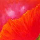 Abstrakt rot 2 - Mohnblüte von Karen Kaspar Miniaturansicht