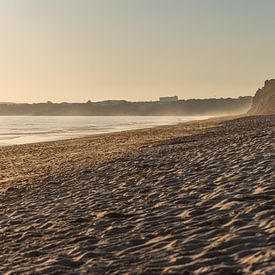 Sunset on the sandy beach Praia da Falésia. Cliffs Pink flowers near Albufeira, Portugal by Fotos by Jan Wehnert