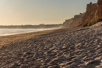 Zonsondergang op het zandstrand Praia da Falésia. Kliffen Roze bloemen bij Albufeira, Portugal