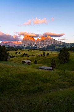 Alpe Di Siusi by Gunter Nuyts