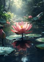 Pink Lotus