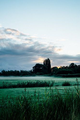 Fog over the farmlands at sunrise in Naarden