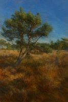 Un automne pittoresque sur la Kalmthoutse Heide