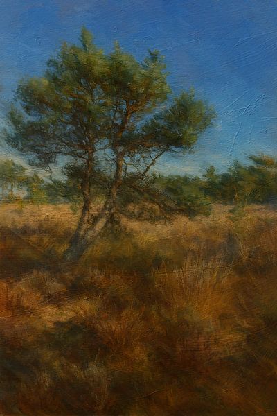 Un automne pittoresque sur la Kalmthoutse Heide par Geert Van Baelen