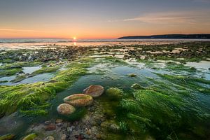 Cape Cod Bay von Frederik van der Veer