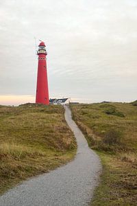 Vuurtoren in de duinen bij het eiland Schiermonnikoog in de duinen van Sjoerd van der Wal Fotografie