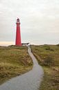 Leuchtturm in den Dünen auf der Insel Schiermonnikoog in den Dünen von Sjoerd van der Wal Fotografie Miniaturansicht
