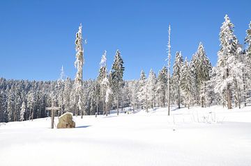 Winterlandschap in Bretterschachten van Peter Eckert