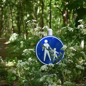 Wandern in den Dünen von Noordwijk von Maartje Abrahams