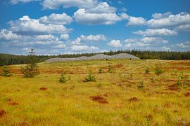 Camster Cains Scotland by Vivo Fotografie