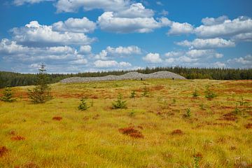 Camster Cains Schottland