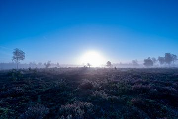 Lever de soleil froid sur l'horizon d'un paysage de landes sur Maarten Zeehandelaar