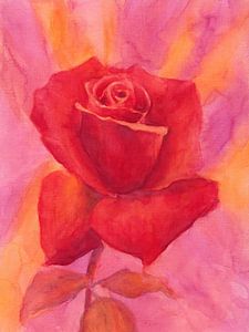 Rote rote Rose Triptychon Teil drei