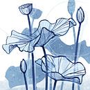 Lotus Delft Blau 02 von Ingrid Joustra Miniaturansicht
