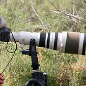 Jaap Bakker profielfoto