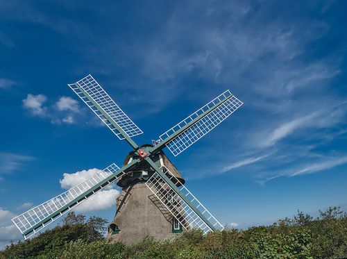 Die Mühle in der Geltinger Birk