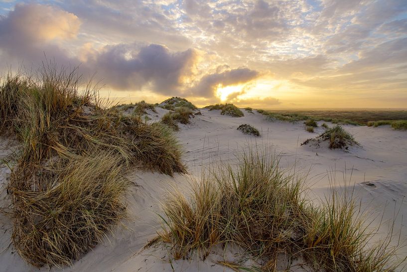 Terschelling und die schöne Natur von De Boschplaat von Dirk van Egmond