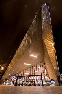 Rotterdam Centraal Station von vanrijsbergen