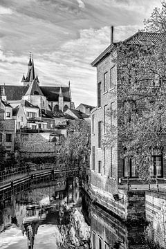 Our Lady over the Dijlekerk in Mechelen by Don Fonzarelli